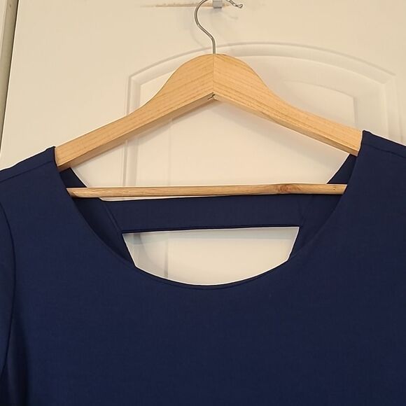 Eileen Fisher Knit Shift Dress Keyhole Back Long Sleeve Blue Size L Petite - Picture 5 of 14